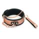 Ошейник с поводком Liebe Seele Rose Gold Memory Collar with Leash SO9494 фото 1