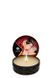 Свічка для масажу MASSAGE CANDLE SPARKLING STRAWBERRY, 30 мл T274608 фото 1