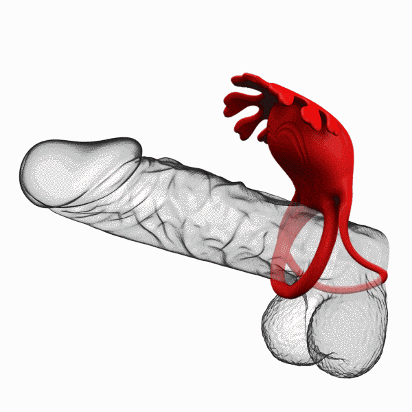 Кільце ерекційне Pretty Love - Vibration Penis Ring Ruben Red BI-210311 фото