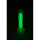 Светящийся фаллоимитатор Dream Toys RADIANT SOFT SILICONE GLOW IN THE DARK DILDO SMALL GREEN DT22046 фото 1