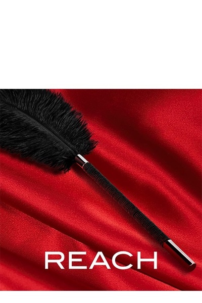 Перо-тиклер Noir Soft Feather Tickler, черного цвета T331575 фото
