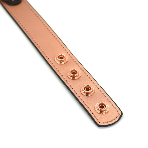 Ошейник с зажимами для сосков Liebe Seele Rose Gold Memory Collar with Nipple Clamps SO9495 фото