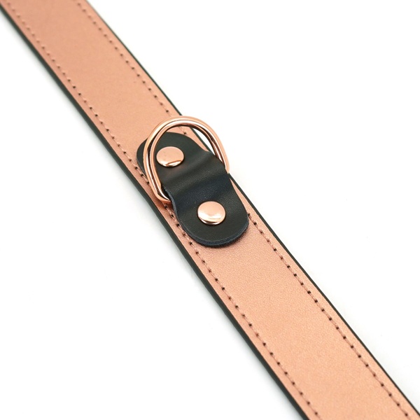 Ошейник с зажимами для сосков Liebe Seele Rose Gold Memory Collar with Nipple Clamps SO9495 фото