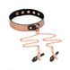 Ошейник с зажимами для сосков Liebe Seele Rose Gold Memory Collar with Nipple Clamps SO9495 фото 8